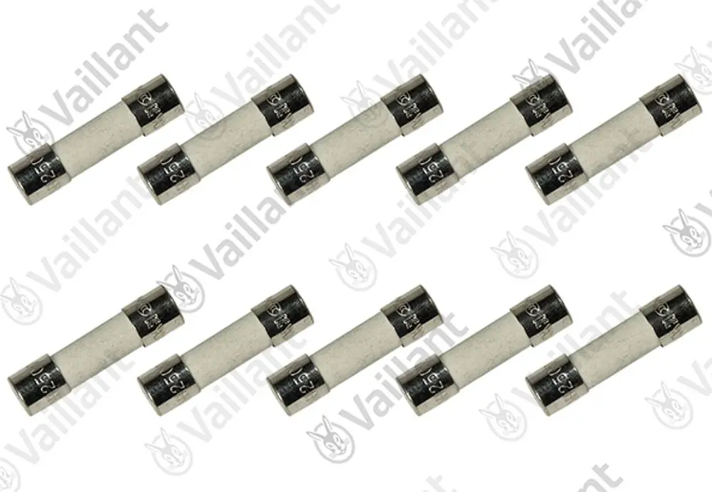 Vaillant Sicherungen in einem Set, sichtbar sind 10 Stück. Die Sicherungen haben eine zylindrische Form und Metallendkappen.